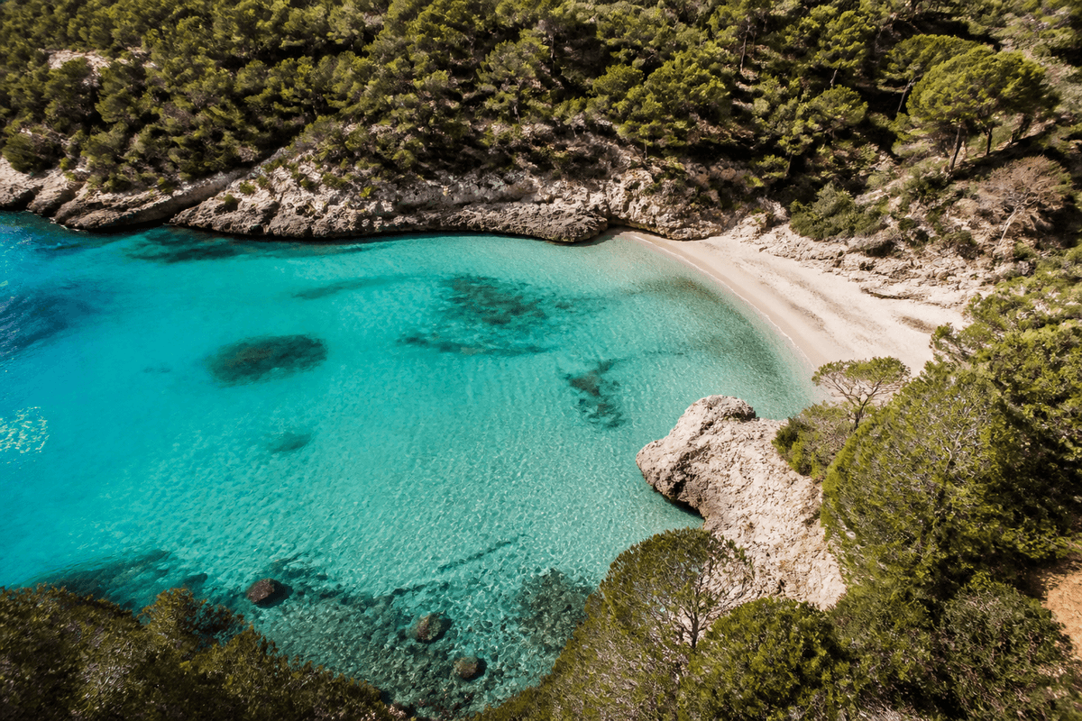 Cala de agua turquesa y pinos en Mallorca