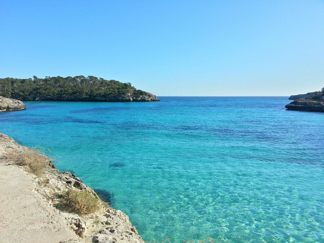 Cala Mondragó con agua turquesa y pinos