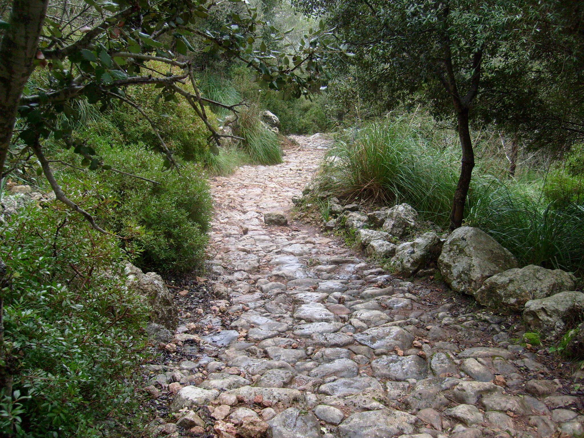 Tramo empedrado del Camí des Correu entre Banyalbufar y Esporles